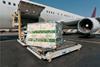 Loading cargo plane