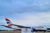 IAG Cargo partners with Animal Aircare on Heathrow animal exports