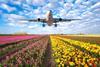 Flowers Airplane.,Landscape,With,Passenger,Airplane,Is,Flying,In,The,Blue