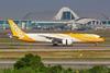 Scoot B787-9