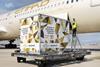 Etihad Cargo, Jettainer container