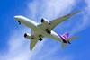 Thai Airways Boeing 787