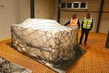 Caribbean Air Cargo cool facility, Piarco International