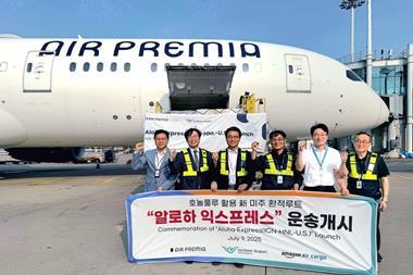 Air Premia Boeing 787 at Incheon Airport