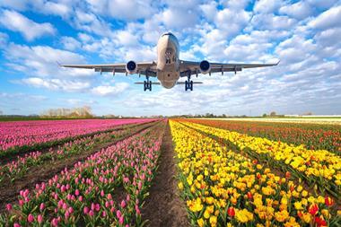 Flowers Airplane.,Landscape,With,Passenger,Airplane,Is,Flying,In,The,Blue