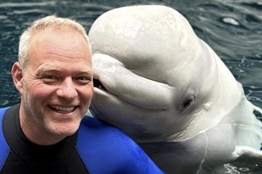 Dennis Christen, Intradco