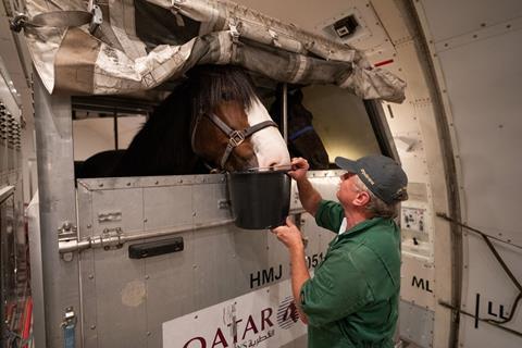 DSC01875.jpg Photo: Equitrans