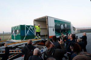 Press take pictures of the pandas arrival in Copenhagen 