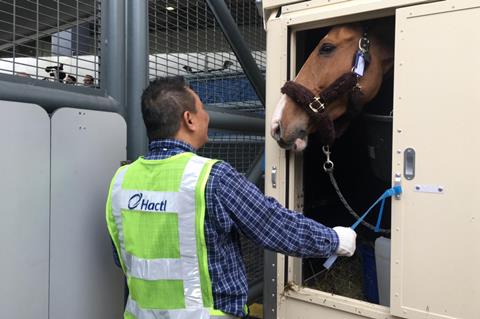 Hactl Horse Handling Service