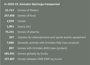 annual report 2019 cargo box 