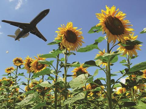 Airplane,Taking,Off,Over,Sunflowers