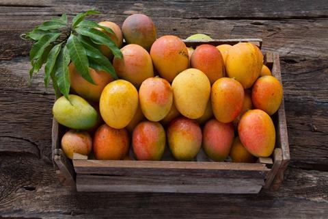 Dachser Mango Exports to Europe