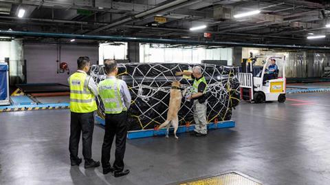 Canine-Screening-Photo