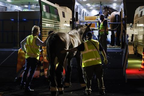 Emirates SkyCargo transports horses for Tokyo Olympics