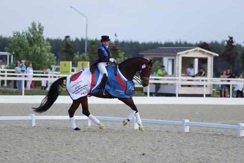 Racehorse competing