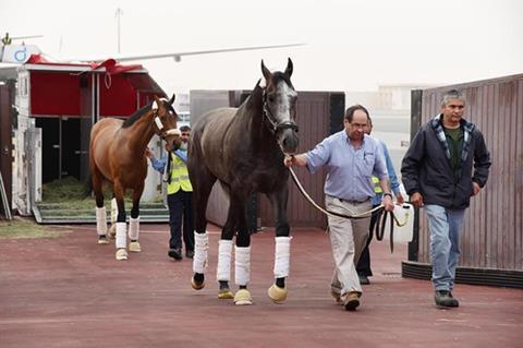 csm Emirates horses Mar 2017 Janah  Arrogate and Hoppertunity arriving in Dubai 1024 914d93aaf7