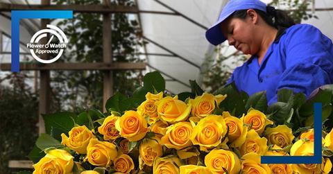 AFKLMP Cargo FlowerWatch BOG