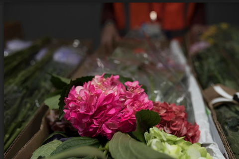 LATAM Cargo flores CO SMALL