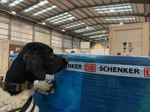 DB Schenker's dogs at Heathrow. Photo: DB Schenker