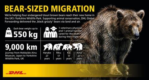 csm Infographic DGF Ussuri brown bears 050818  2  1c497f81dd