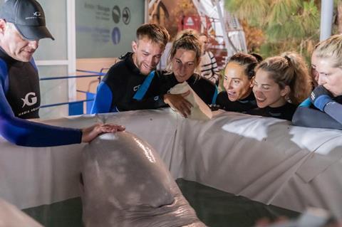 2 Beluga Whale Copyright Oceanografic Valencia