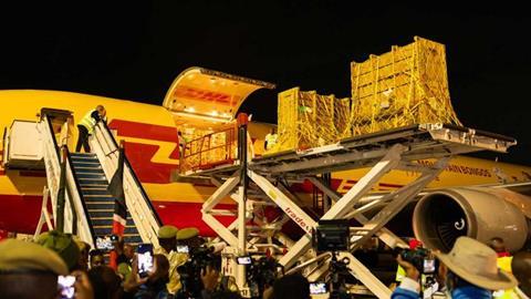 Mountain_bongo_antelopes_flight_by_DHL_Copyright_ Peter Ndung’u for Lewa Wildlife Conservancy