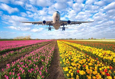Flowers Airplane.,Landscape,With,Passenger,Airplane,Is,Flying,In,The,Blue