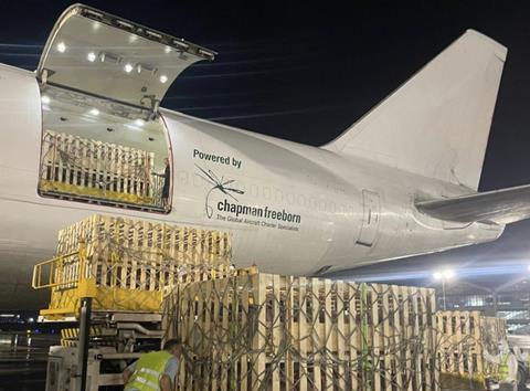 Intradco Global recently transported 1,200 pigs by air