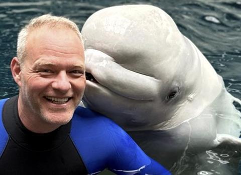 Dennis Christen, Intradco