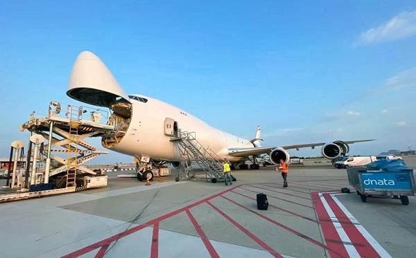 Air Belgium cargo sale falls flat | News | Air Cargo News