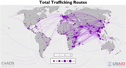 csm_Routes_GIF_fdc9d41478